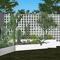 Lush Cacti and Succulents in White Lattice Fence with Planter Boxes on Grass Lawn