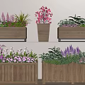 Beautiful Potted Plants With Pink Purple Flowers In Wooden Planters For Decoration