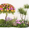 Garden Ornamental Scene With Colorful Flowering Tree Palm Trees Purple Plants Pink Blooms And Stones