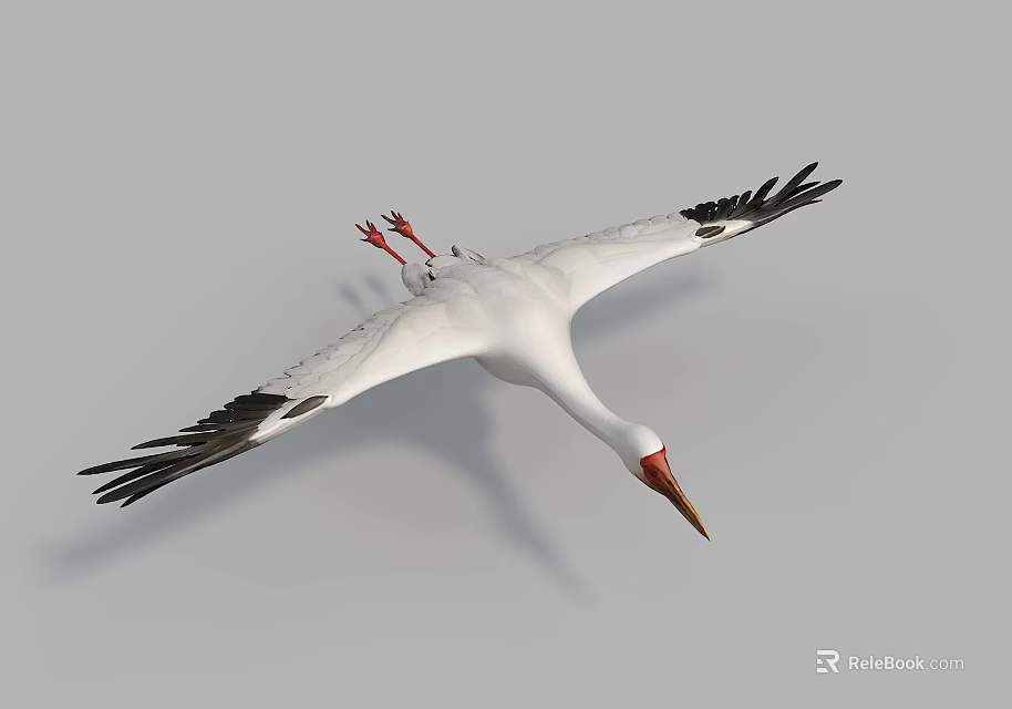 Flying White Stork With White Feathers Black Wing Tips And Red Legs In Gray Sky 3d model 