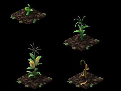 Corn Plant Growth Stages Showing Seedling Growing Mature And Withered Phases 3d model