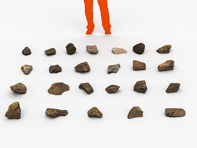 Wood Stone Material Samples Showing Different Natural Varieties and Textures 3d model
