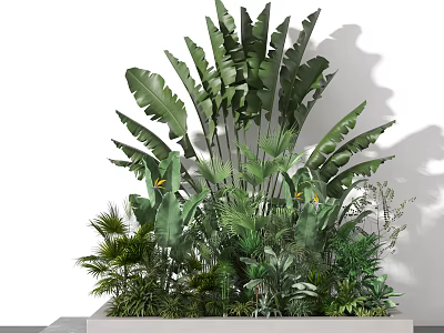 Lush Green Plants with Large Banana Leaves and Tropical Foliage in Modern Planter 3d model