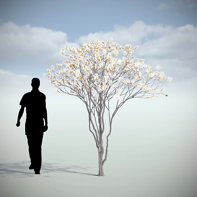 Modern Flower Tree 3d model