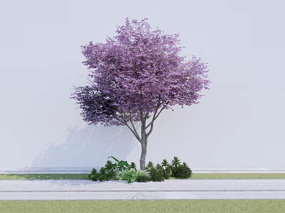 Purple Leaf Arbor with Brown Trunk and Small Shrubs Near White Wall and Grass Path 3d model