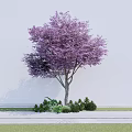 Purple Leaf Arbor with Brown Trunk and Small Shrubs Near White Wall and Grass Path