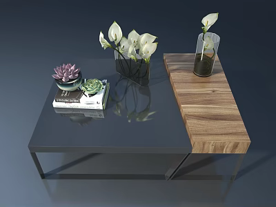 Modern Swing Door Living Space With Glass Wooden Tables Books And White Flowers 3d model