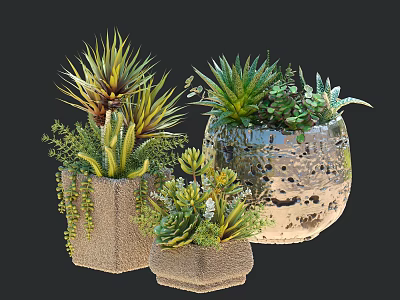 Bonsai Potted Plants with Succulents Greenery in Metallic and Stone Decorative Planters 3d model