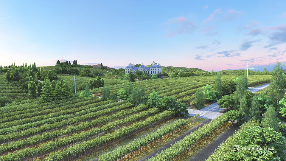 Lush Vineyard Landscape With Rows Of Grapevines And Grand Estate Building 3d model 