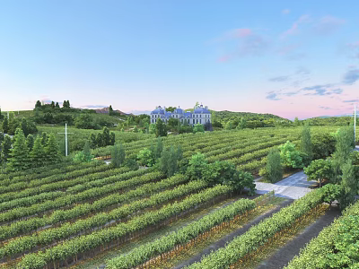 Lush Vineyard Landscape With Rows Of Grapevines And Grand Estate Building 3d model