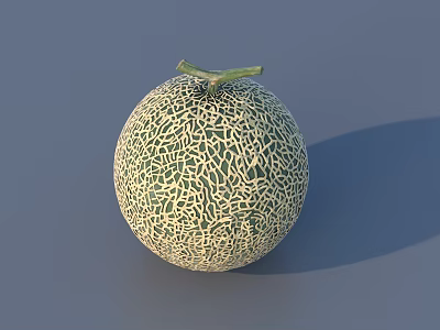 Bonsai Potted Plant With Spherical Shape Reticulated Patterns And Green Stem On Gray Surface 3d model