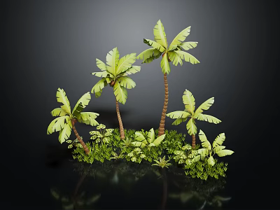 Several Palm Trees Surrounded by Green Foliage on Black Background with Reflection 3d model