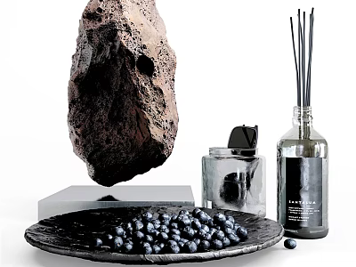 Decorative Ornament Set With Floating Rock Black Plate Blueberries Glass Jar And Reed Diffuser 3d model