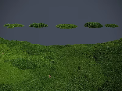 Lush Green Meadow With Round Grass Clumps Under Gray Sky 3d model