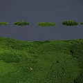 Lush Green Meadow With Round Grass Clumps Under Gray Sky 3d model