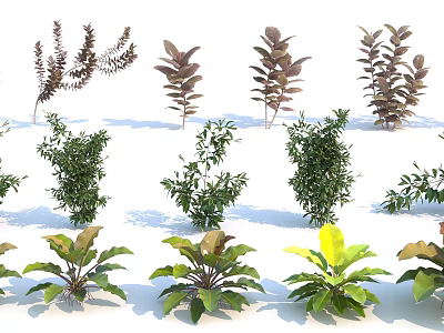 modern shrub shrub grass 3d model