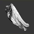 Detailed Anatomical Organ Structure With Hair Fibers In White 3D Rendering