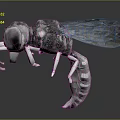 Detailed 3D Wasp Model With Black And Yellow Stripes And Transparent Wings