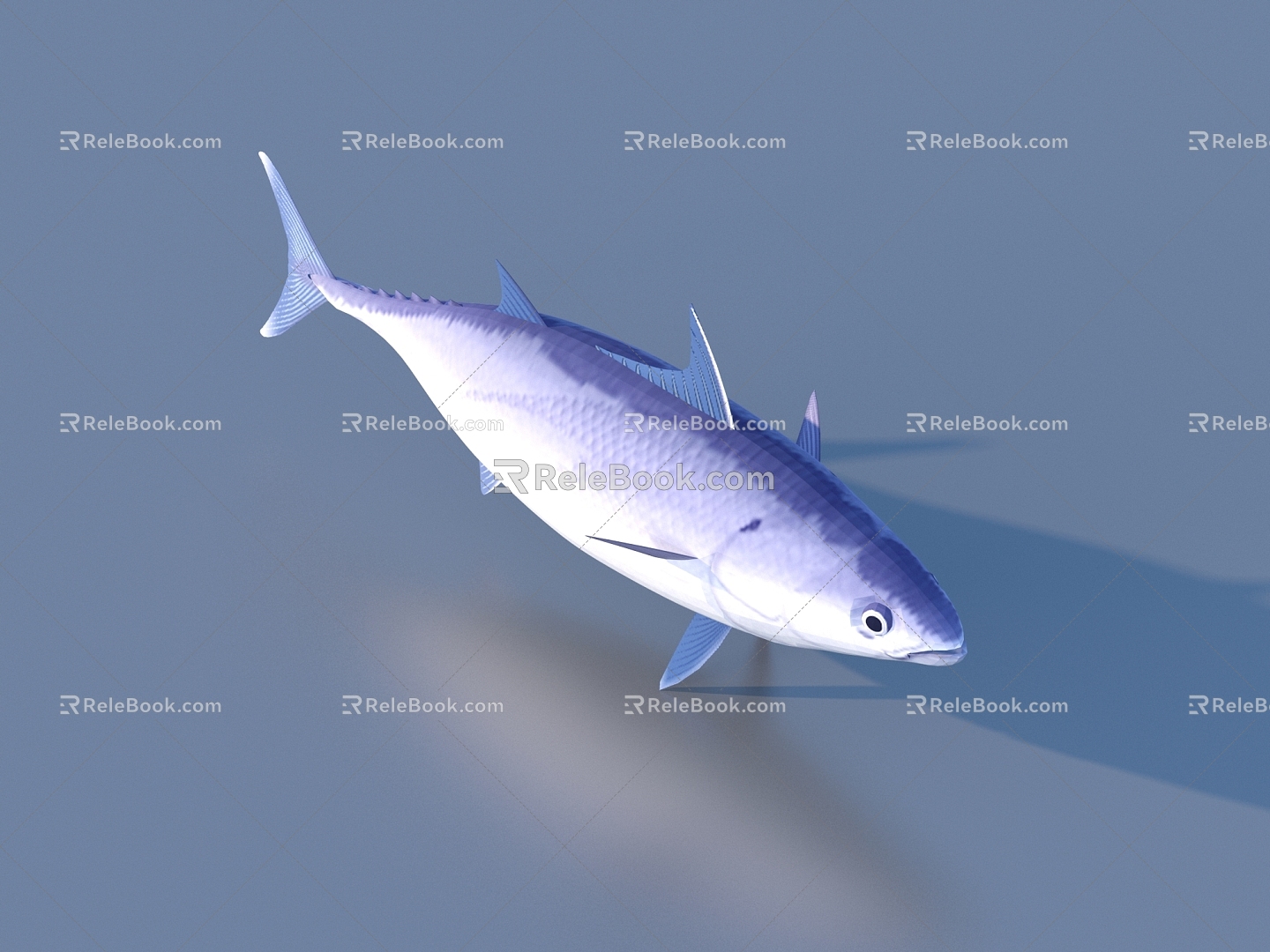 fish freshwater fish aquatic animal 3d model