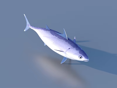 Silver Streamlined Fish with Sleek Body Swimming in Blue Background and Clear Reflection 3d model