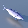 fish freshwater fish aquatic animal 3d model