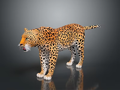 A Yellow Leopard with Black Spots Standing on Dark Reflective Surface 3d model