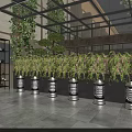Garden Landscape Featuring Glass Roofed Corridor Greenery Covered Walls Arched Columns And Outdoor Seating