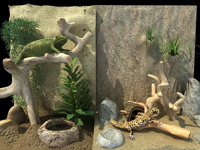 Chameleon and Leopard Gecko in Natural Habitat with Branches Rocks and Plants 3d model