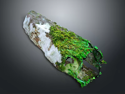 Moss Covered Wooden Log with White Patches Natural Holes and Dark Background 3d model