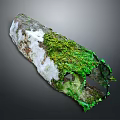 Moss Covered Wooden Log with White Patches Natural Holes and Dark Background
