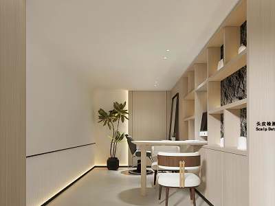 Modern Luxury Beauty Hair Salon Interior With Styling Chairs And Soft Lighting 3d model