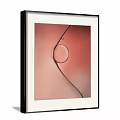 Abstract Artwork With White Frame On Gray Wall Pink Background Black Circle Curve 3d model
