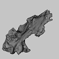 Ancient Fossilized Animal Skull With Brownish Bone Structure And Remains 3d model