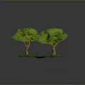 Two Lush Green Trees With Brown Trunks On Green Grass Base