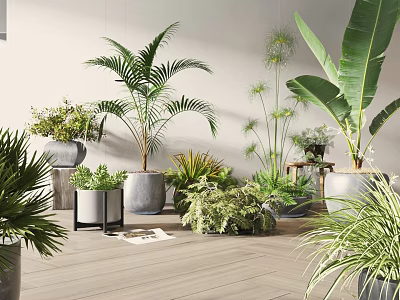 Diverse Bonsai and Potted Plants with Various Greenery in Different Pots on Wooden Floor 3d model