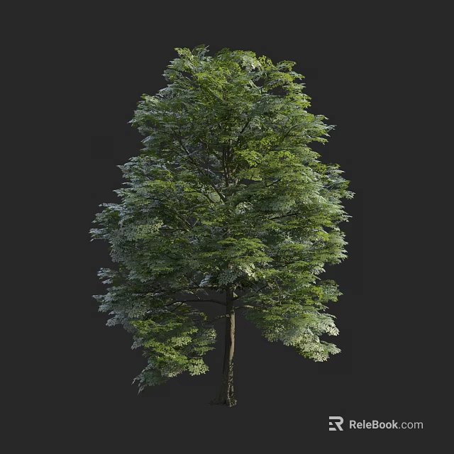 Tall Arbor With Lush Green Foliage And Strong Trunk In Natural Setting 3d model 