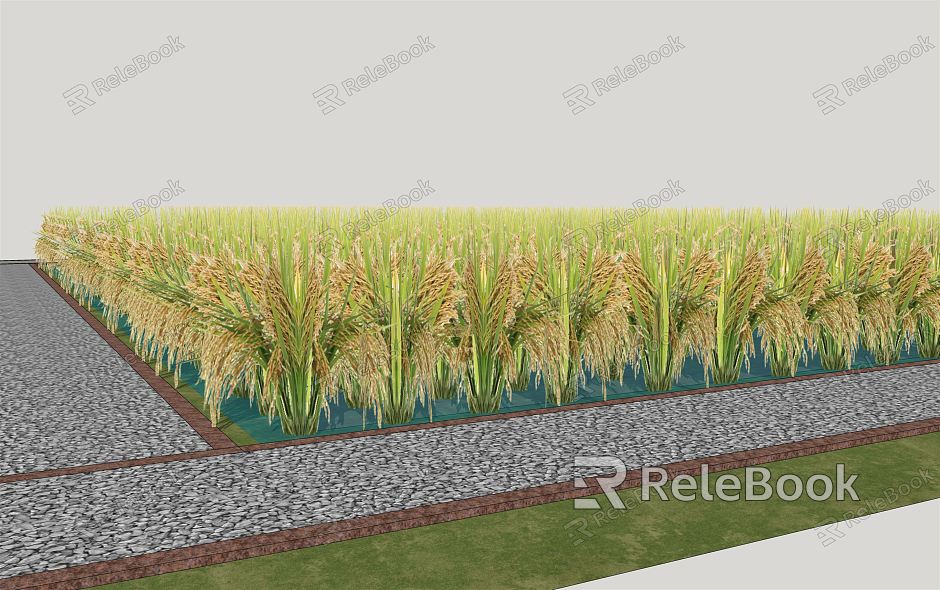 modern paddy field ecological paddy field model