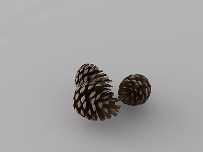 Decorative Ornament Set with Three Natural Pine Cones for Home Decor 3d model