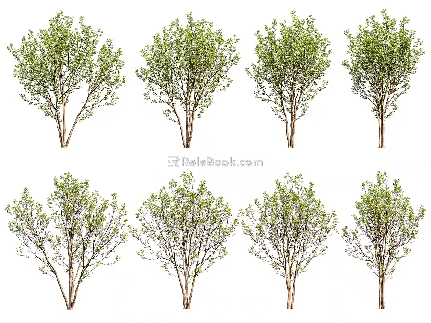 Rough Leaf Tree Landscape Tree 3d model