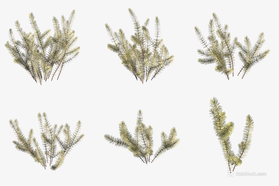 Aquatic Plants With Green Branch Structures And Foliage Varieties For Water Gardens 3d model 