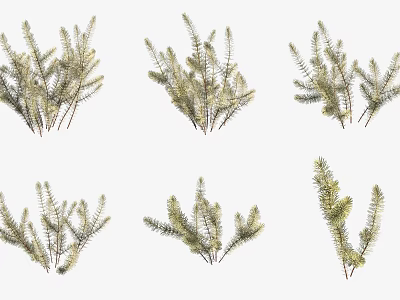 Aquatic Plants With Green Branch Structures And Foliage Varieties For Water Gardens 3d model