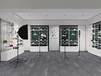 Public Office Space With Display Shelves Shoes Lighting Equipment And Open Display Cabinets 3d model