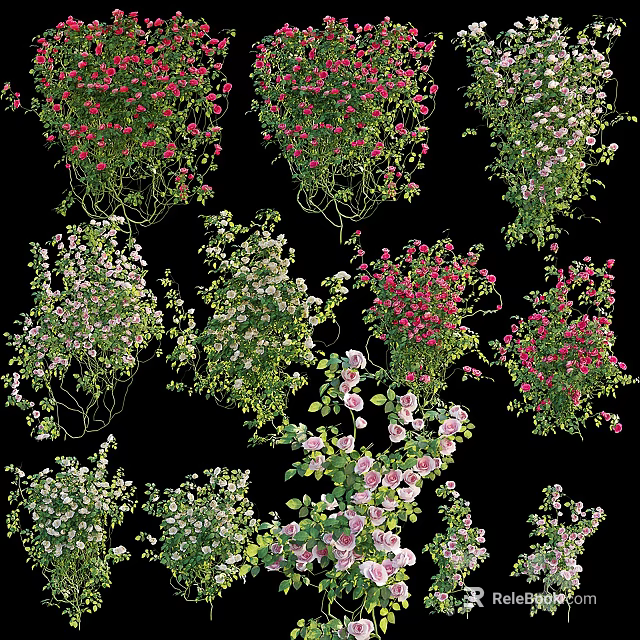 Vibrant Colorful Flowering Plants With Pink White Red Blooms And Green Vines 3d model 