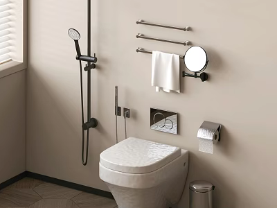 Modern Shower Head in Contemporary Bathroom with Towel Racks Round Mirror and Toilet 3d model
