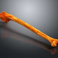 Orange Pet Chew Bone Toy For Dogs With Natural Texture And Safe Durable Material