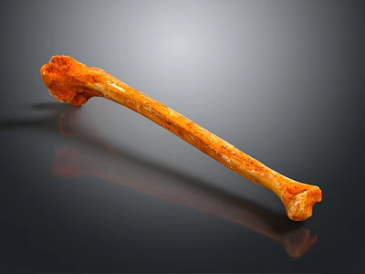 Orange Pet Chew Bone Toy For Dogs With Natural Texture And Safe Durable Material 3d model