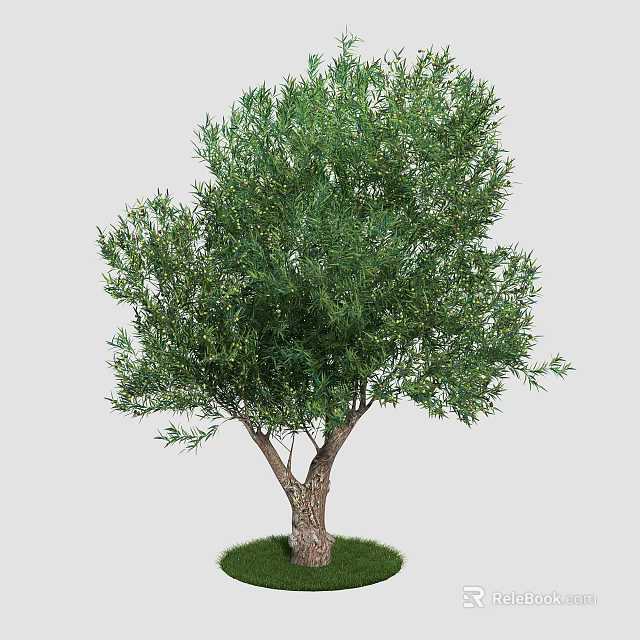 Tall Arbor Tree With Dense Green Foliage And Brown Trunk On Green Grass 3d model 