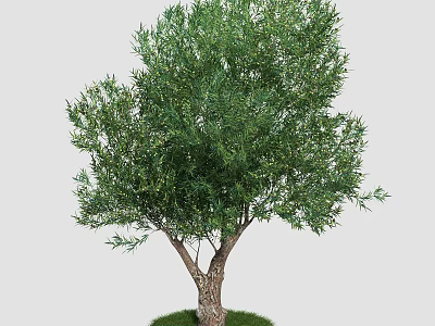 Tall Arbor Tree With Dense Green Foliage And Brown Trunk On Green Grass 3d model