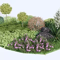 Colorful Garden Shrubs With Green Leaves Purple Flowers And Decorative Stone