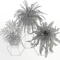 Indoor Potted Plants With Fern Palm And Metal White Stands For Home Decor